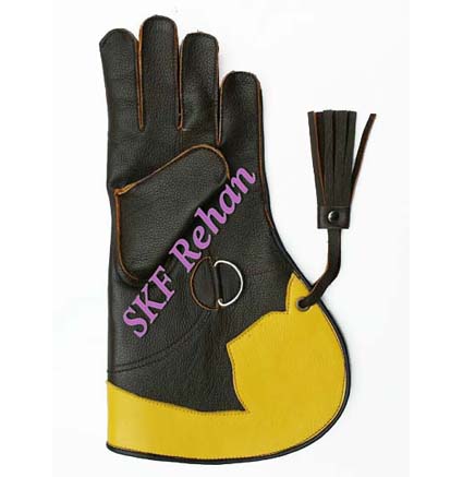 Falconry Leather Gloves.